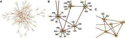 From classical mendelian randomization to causal networks for systematic integration of multi-omics